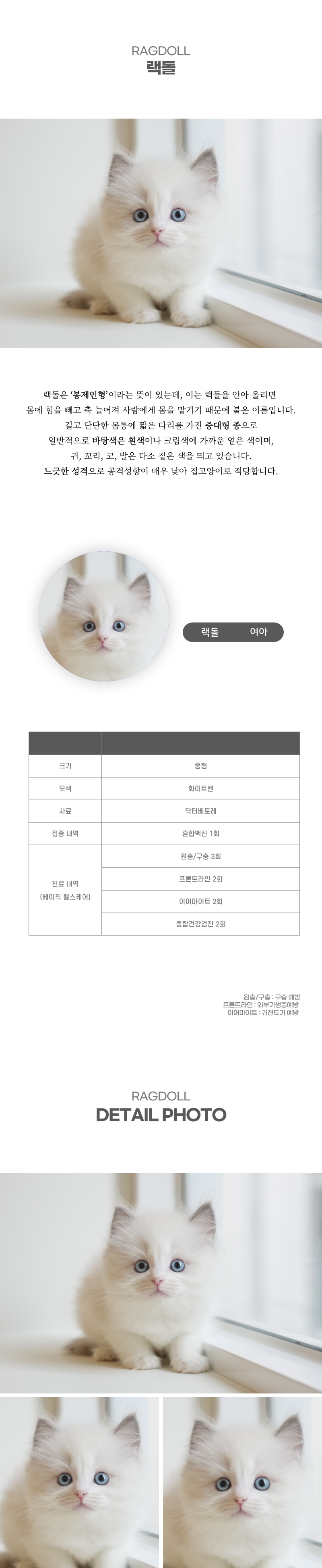 랙돌_상세이미지_2